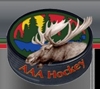 Sponsored by Northern Exposure AAA Tourney