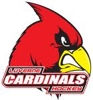 Luverne_hockey_logo_element_view