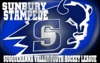 Sunbury_logo_element_view
